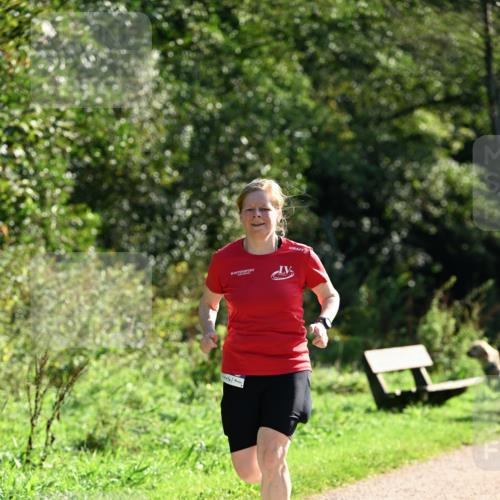 27.09.2026 - 35. Volkslauf durch das schöne Alstertal Dr. Thomas Lammeyer http://msf.ph/oto/10572879 27.09.2026 11:25:12 Laufen  meine-sportfotos.de