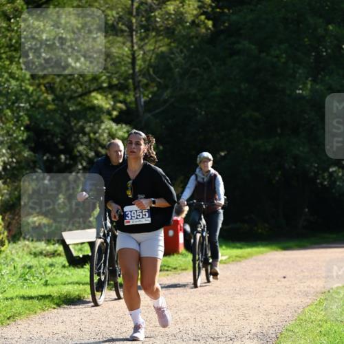 27.09.2026 - 35. Volkslauf durch das schöne Alstertal Dr. Thomas Lammeyer http://msf.ph/oto/10572977 27.09.2026 11:25:54 Laufen 3955 meine-sportfotos.de