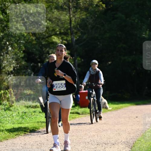 27.09.2026 - 35. Volkslauf durch das schöne Alstertal Dr. Thomas Lammeyer http://msf.ph/oto/10572983 27.09.2026 11:25:55 Laufen 3955 meine-sportfotos.de
