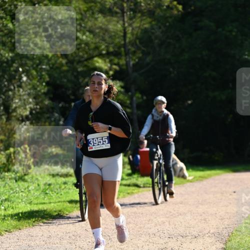 27.09.2026 - 35. Volkslauf durch das schöne Alstertal Dr. Thomas Lammeyer http://msf.ph/oto/10572984 27.09.2026 11:25:55 Laufen 3955 meine-sportfotos.de