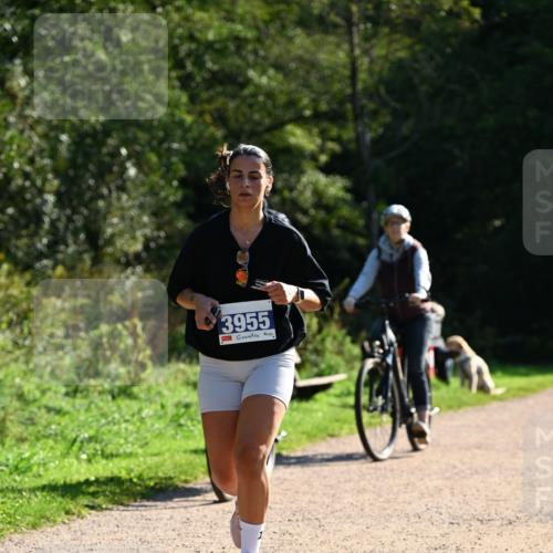 27.09.2026 - 35. Volkslauf durch das schöne Alstertal Dr. Thomas Lammeyer http://msf.ph/oto/10572988 27.09.2026 11:25:55 Laufen 3955, 1 meine-sportfotos.de