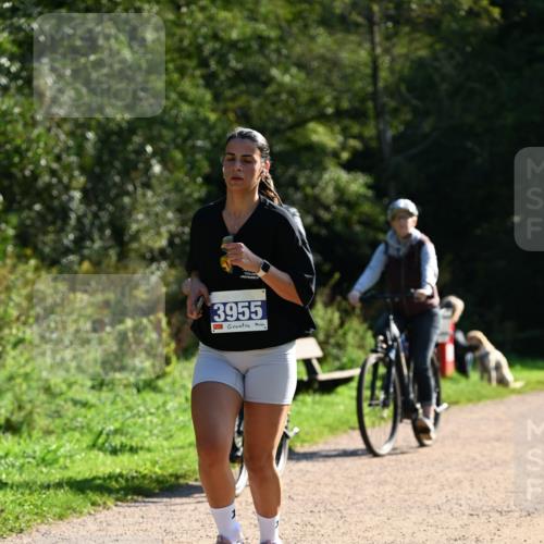 27.09.2026 - 35. Volkslauf durch das schöne Alstertal Dr. Thomas Lammeyer http://msf.ph/oto/10572989 27.09.2026 11:25:55 Laufen 3955 meine-sportfotos.de