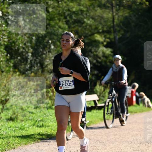 27.09.2026 - 35. Volkslauf durch das schöne Alstertal Dr. Thomas Lammeyer http://msf.ph/oto/10572991 27.09.2026 11:25:55 Laufen 3955 meine-sportfotos.de
