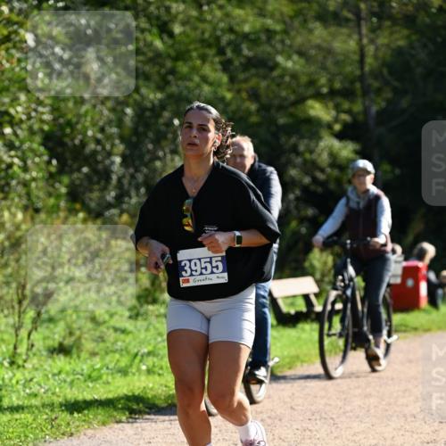 27.09.2026 - 35. Volkslauf durch das schöne Alstertal Dr. Thomas Lammeyer http://msf.ph/oto/10572992 27.09.2026 11:25:56 Laufen 3955 meine-sportfotos.de