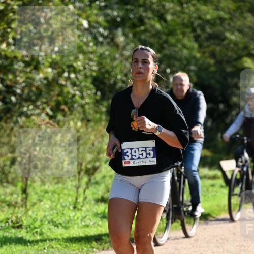 27.09.2026 - 35. Volkslauf durch das schöne Alstertal Dr. Thomas Lammeyer http://msf.ph/oto/10572996 27.09.2026 11:25:56 Laufen 3955 meine-sportfotos.de