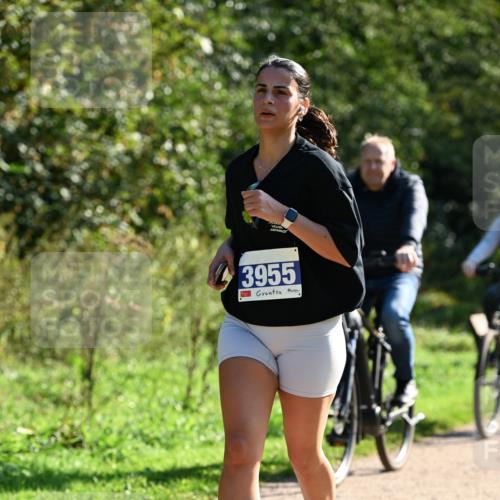 27.09.2026 - 35. Volkslauf durch das schöne Alstertal Dr. Thomas Lammeyer http://msf.ph/oto/10572997 27.09.2026 11:25:56 Laufen 3955, 2 meine-sportfotos.de