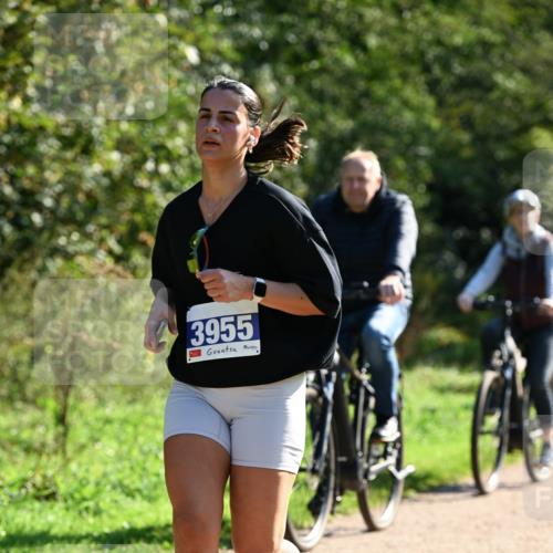 27.09.2026 - 35. Volkslauf durch das schöne Alstertal Dr. Thomas Lammeyer http://msf.ph/oto/10572999 27.09.2026 11:25:56 Laufen 3955 meine-sportfotos.de