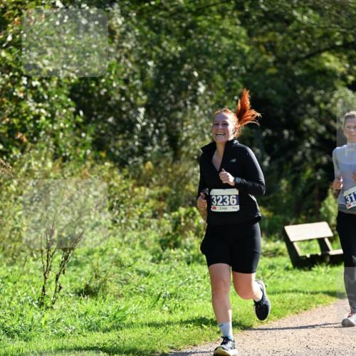 27.09.2026 - 35. Volkslauf durch das schöne Alstertal Dr. Thomas Lammeyer http://msf.ph/oto/10573002 27.09.2026 11:26:15 Laufen 3236, 317 meine-sportfotos.de