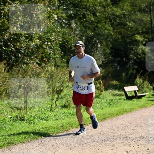 27.09.2026 - 35. Volkslauf durch das schöne Alstertal Dr. Thomas Lammeyer http://msf.ph/oto/10573028 27.09.2026 11:26:19 Laufen 3350 meine-sportfotos.de