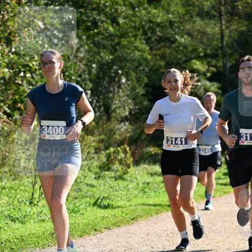 27.09.2026 - 35. Volkslauf durch das schöne Alstertal Dr. Thomas Lammeyer http://msf.ph/oto/10573056 27.09.2026 11:26:25 Laufen 3400, 3141, 3245, 311 meine-sportfotos.de