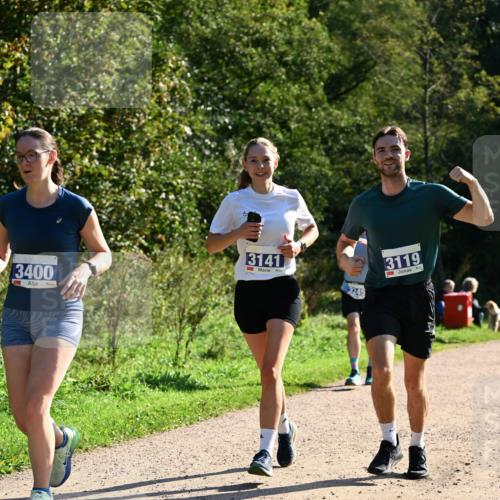 27.09.2026 - 35. Volkslauf durch das schöne Alstertal Dr. Thomas Lammeyer http://msf.ph/oto/10573063 27.09.2026 11:26:26 Laufen 3400, 3141, 3245, 3119 meine-sportfotos.de