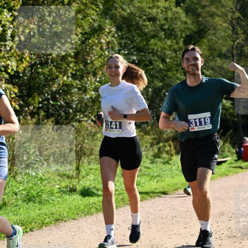 27.09.2026 - 35. Volkslauf durch das schöne Alstertal Dr. Thomas Lammeyer http://msf.ph/oto/10573067 27.09.2026 11:26:26 Laufen 141, 3119 meine-sportfotos.de