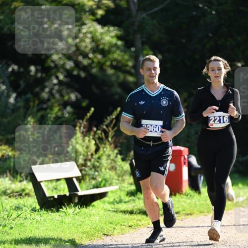 27.09.2026 - 35. Volkslauf durch das schöne Alstertal Dr. Thomas Lammeyer http://msf.ph/oto/10573095 27.09.2026 11:26:32 Laufen 2216, 2960 meine-sportfotos.de