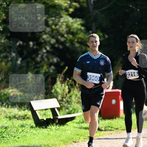 27.09.2026 - 35. Volkslauf durch das schöne Alstertal Dr. Thomas Lammeyer http://msf.ph/oto/10573098 27.09.2026 11:26:33 Laufen 2216, 3960 meine-sportfotos.de