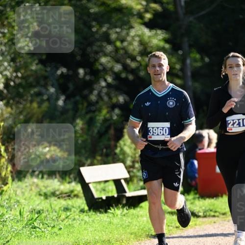 27.09.2026 - 35. Volkslauf durch das schöne Alstertal Dr. Thomas Lammeyer http://msf.ph/oto/10573102 27.09.2026 11:26:33 Laufen 2216, 3960 meine-sportfotos.de