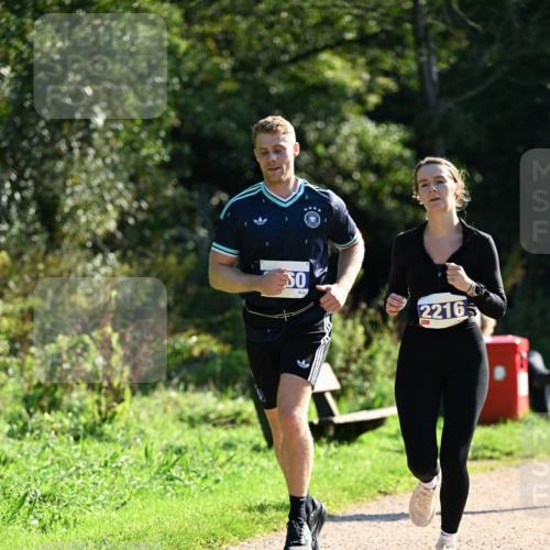 27.09.2026 - 35. Volkslauf durch das schöne Alstertal Dr. Thomas Lammeyer http://msf.ph/oto/10573111 27.09.2026 11:26:34 Laufen 2216 meine-sportfotos.de