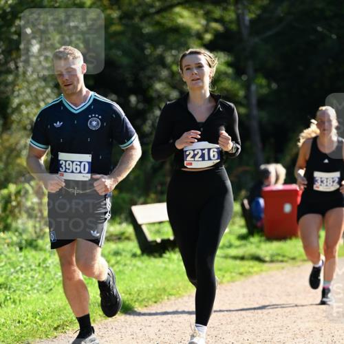 27.09.2026 - 35. Volkslauf durch das schöne Alstertal Dr. Thomas Lammeyer http://msf.ph/oto/10573112 27.09.2026 11:26:35 Laufen 3960, 2216, 3382 meine-sportfotos.de