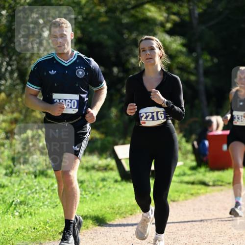 27.09.2026 - 35. Volkslauf durch das schöne Alstertal Dr. Thomas Lammeyer http://msf.ph/oto/10573113 27.09.2026 11:26:35 Laufen 360, 2216, 336 meine-sportfotos.de