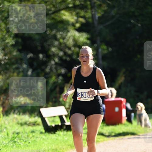 27.09.2026 - 35. Volkslauf durch das schöne Alstertal Dr. Thomas Lammeyer http://msf.ph/oto/10573120 27.09.2026 11:26:36 Laufen 3382 meine-sportfotos.de