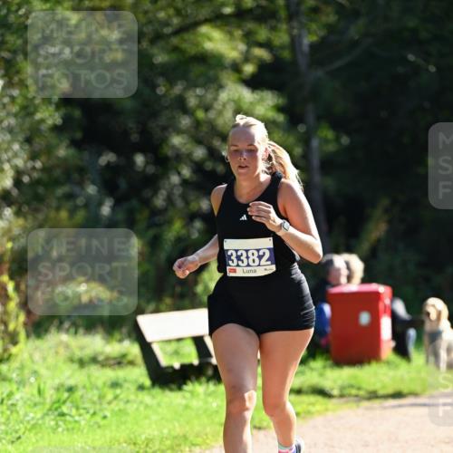 27.09.2026 - 35. Volkslauf durch das schöne Alstertal Dr. Thomas Lammeyer http://msf.ph/oto/10573121 27.09.2026 11:26:36 Laufen 3382 meine-sportfotos.de