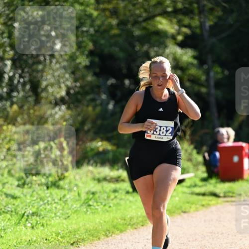 27.09.2026 - 35. Volkslauf durch das schöne Alstertal Dr. Thomas Lammeyer http://msf.ph/oto/10573126 27.09.2026 11:26:37 Laufen 382 meine-sportfotos.de