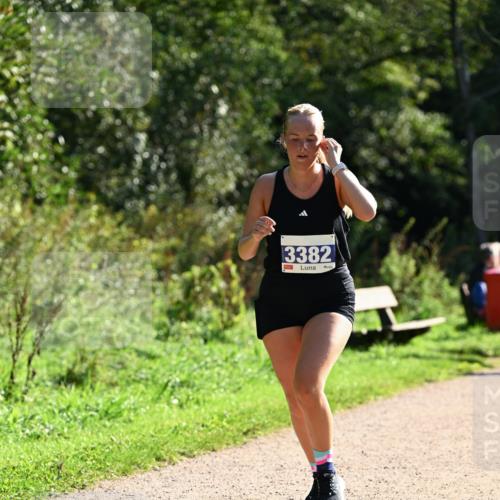 27.09.2026 - 35. Volkslauf durch das schöne Alstertal Dr. Thomas Lammeyer http://msf.ph/oto/10573131 27.09.2026 11:26:37 Laufen 3382 meine-sportfotos.de