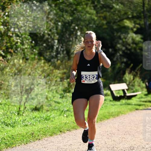 27.09.2026 - 35. Volkslauf durch das schöne Alstertal Dr. Thomas Lammeyer http://msf.ph/oto/10573133 27.09.2026 11:26:37 Laufen 3382 meine-sportfotos.de