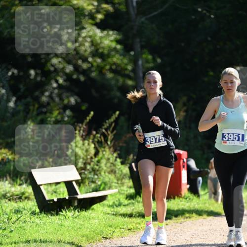 27.09.2026 - 35. Volkslauf durch das schöne Alstertal Dr. Thomas Lammeyer http://msf.ph/oto/10573137 27.09.2026 11:26:39 Laufen 3975, 3951 meine-sportfotos.de