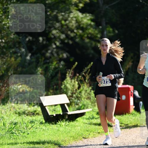 27.09.2026 - 35. Volkslauf durch das schöne Alstertal Dr. Thomas Lammeyer http://msf.ph/oto/10573140 27.09.2026 11:26:39 Laufen 3975 meine-sportfotos.de