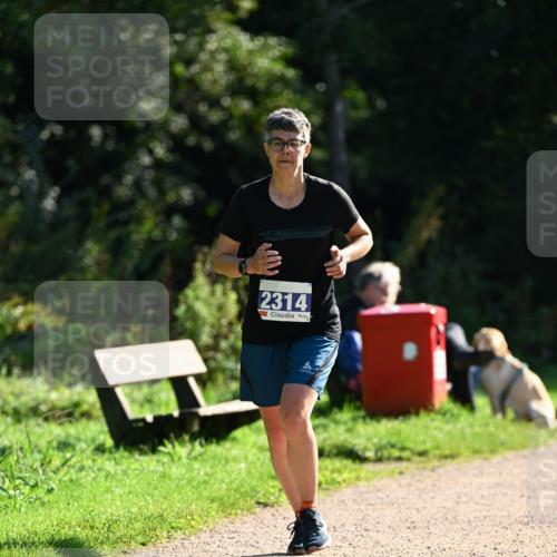27.09.2026 - 35. Volkslauf durch das schöne Alstertal Dr. Thomas Lammeyer http://msf.ph/oto/10573230 27.09.2026 11:27:08 Laufen 2314 meine-sportfotos.de