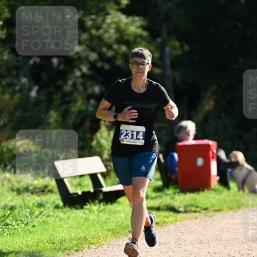 27.09.2026 - 35. Volkslauf durch das schöne Alstertal Dr. Thomas Lammeyer http://msf.ph/oto/10573231 27.09.2026 11:27:08 Laufen 2314 meine-sportfotos.de