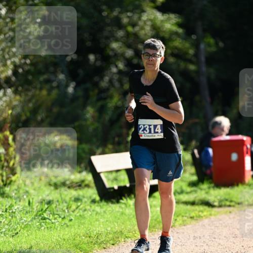 27.09.2026 - 35. Volkslauf durch das schöne Alstertal Dr. Thomas Lammeyer http://msf.ph/oto/10573233 27.09.2026 11:27:08 Laufen 2314 meine-sportfotos.de
