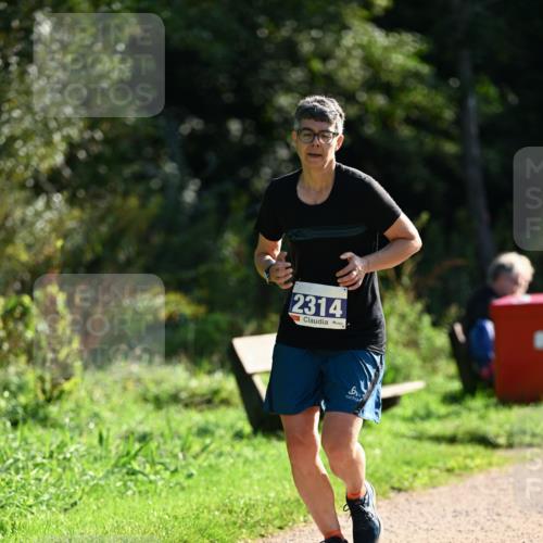 27.09.2026 - 35. Volkslauf durch das schöne Alstertal Dr. Thomas Lammeyer http://msf.ph/oto/10573236 27.09.2026 11:27:08 Laufen 2314 meine-sportfotos.de