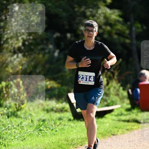 27.09.2026 - 35. Volkslauf durch das schöne Alstertal Dr. Thomas Lammeyer http://msf.ph/oto/10573237 27.09.2026 11:27:09 Laufen 2314 meine-sportfotos.de