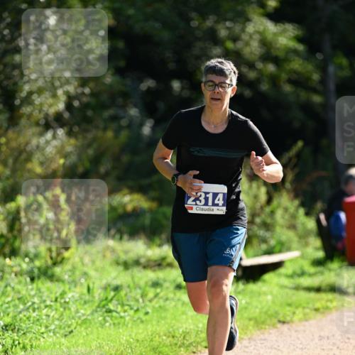 27.09.2026 - 35. Volkslauf durch das schöne Alstertal Dr. Thomas Lammeyer http://msf.ph/oto/10573239 27.09.2026 11:27:09 Laufen 2314 meine-sportfotos.de