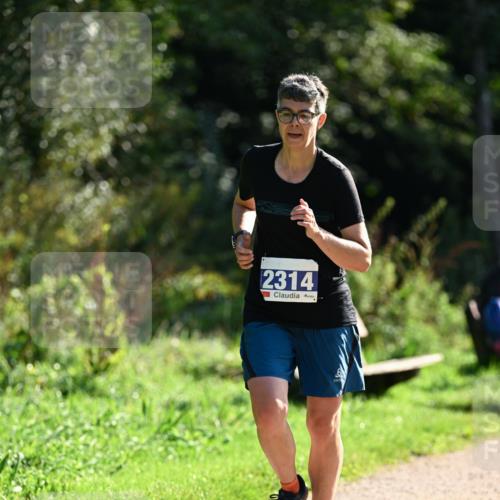 27.09.2026 - 35. Volkslauf durch das schöne Alstertal Dr. Thomas Lammeyer http://msf.ph/oto/10573240 27.09.2026 11:27:09 Laufen 2314 meine-sportfotos.de