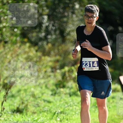 27.09.2026 - 35. Volkslauf durch das schöne Alstertal Dr. Thomas Lammeyer http://msf.ph/oto/10573248 27.09.2026 11:27:10 Laufen 2314 meine-sportfotos.de