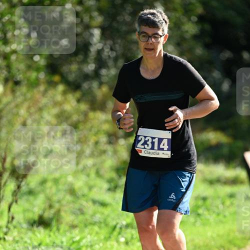 27.09.2026 - 35. Volkslauf durch das schöne Alstertal Dr. Thomas Lammeyer http://msf.ph/oto/10573251 27.09.2026 11:27:10 Laufen 2314 meine-sportfotos.de