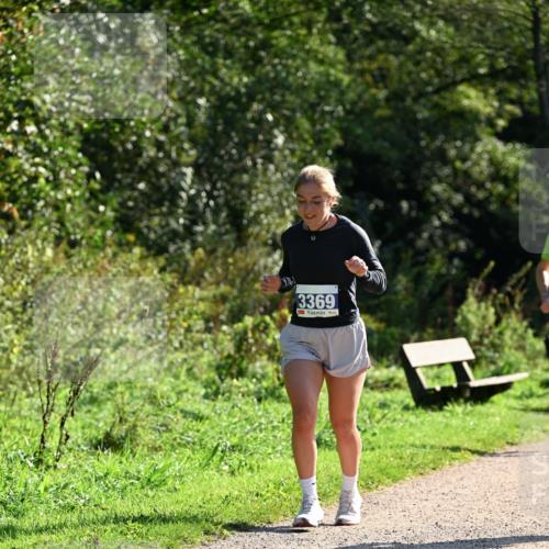 27.09.2026 - 35. Volkslauf durch das schöne Alstertal Dr. Thomas Lammeyer http://msf.ph/oto/10573274 27.09.2026 11:27:15 Laufen 3369 meine-sportfotos.de