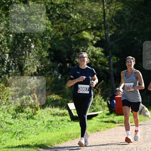 27.09.2026 - 35. Volkslauf durch das schöne Alstertal Dr. Thomas Lammeyer http://msf.ph/oto/10573303 27.09.2026 11:27:20 Laufen 3007 meine-sportfotos.de