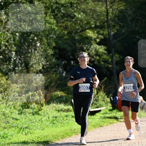 27.09.2026 - 35. Volkslauf durch das schöne Alstertal Dr. Thomas Lammeyer http://msf.ph/oto/10573304 27.09.2026 11:27:20 Laufen 3007, 3256 meine-sportfotos.de