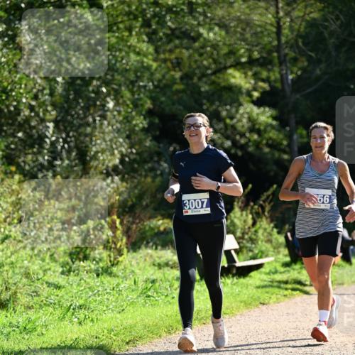 27.09.2026 - 35. Volkslauf durch das schöne Alstertal Dr. Thomas Lammeyer http://msf.ph/oto/10573307 27.09.2026 11:27:20 Laufen 3007, 56 meine-sportfotos.de