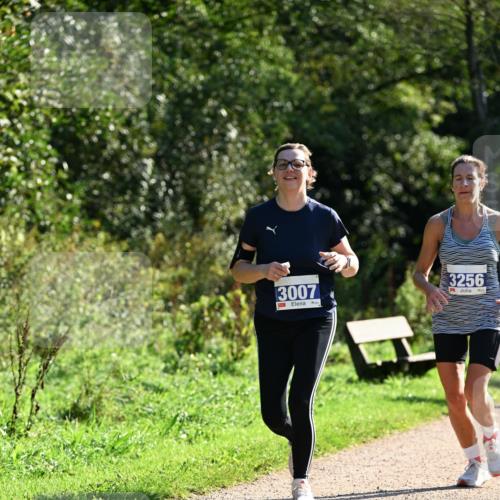 27.09.2026 - 35. Volkslauf durch das schöne Alstertal Dr. Thomas Lammeyer http://msf.ph/oto/10573312 27.09.2026 11:27:21 Laufen 3007, 3256 meine-sportfotos.de