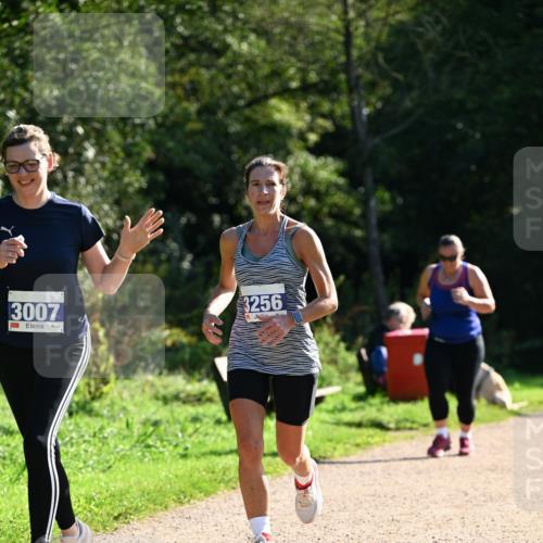 27.09.2026 - 35. Volkslauf durch das schöne Alstertal Dr. Thomas Lammeyer http://msf.ph/oto/10573313 27.09.2026 11:27:22 Laufen 3007, 4, 3256 meine-sportfotos.de