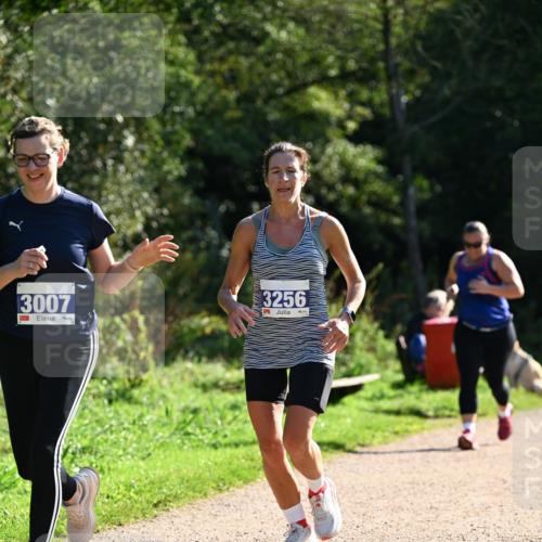 27.09.2026 - 35. Volkslauf durch das schöne Alstertal Dr. Thomas Lammeyer http://msf.ph/oto/10573314 27.09.2026 11:27:22 Laufen 3007, 3256 meine-sportfotos.de