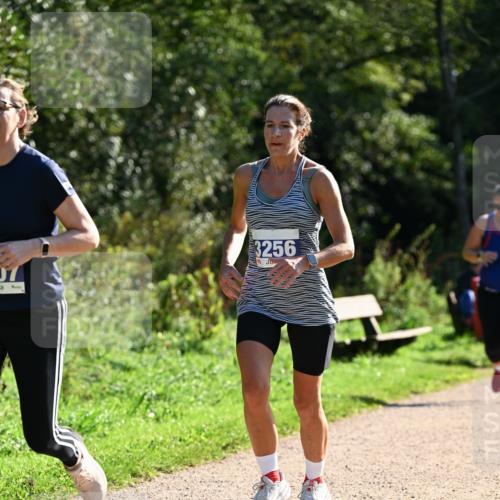 27.09.2026 - 35. Volkslauf durch das schöne Alstertal Dr. Thomas Lammeyer http://msf.ph/oto/10573318 27.09.2026 11:27:22 Laufen 3256 meine-sportfotos.de