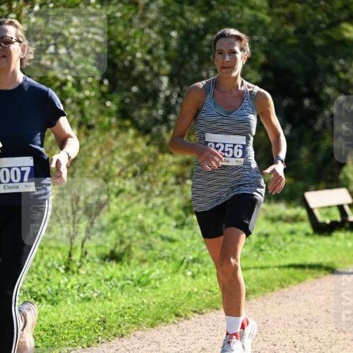27.09.2026 - 35. Volkslauf durch das schöne Alstertal Dr. Thomas Lammeyer http://msf.ph/oto/10573322 27.09.2026 11:27:22 Laufen 007, 356 meine-sportfotos.de