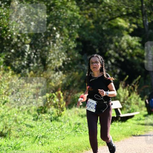 27.09.2026 - 35. Volkslauf durch das schöne Alstertal Dr. Thomas Lammeyer http://msf.ph/oto/10573354 27.09.2026 11:27:36 Laufen 3996 meine-sportfotos.de