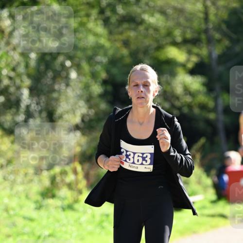 27.09.2026 - 35. Volkslauf durch das schöne Alstertal Dr. Thomas Lammeyer http://msf.ph/oto/10573366 27.09.2026 11:27:37 Laufen 3363 meine-sportfotos.de