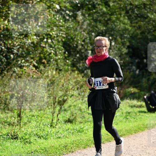 27.09.2026 - 35. Volkslauf durch das schöne Alstertal Dr. Thomas Lammeyer http://msf.ph/oto/10573444 27.09.2026 11:28:18 Laufen 317 meine-sportfotos.de